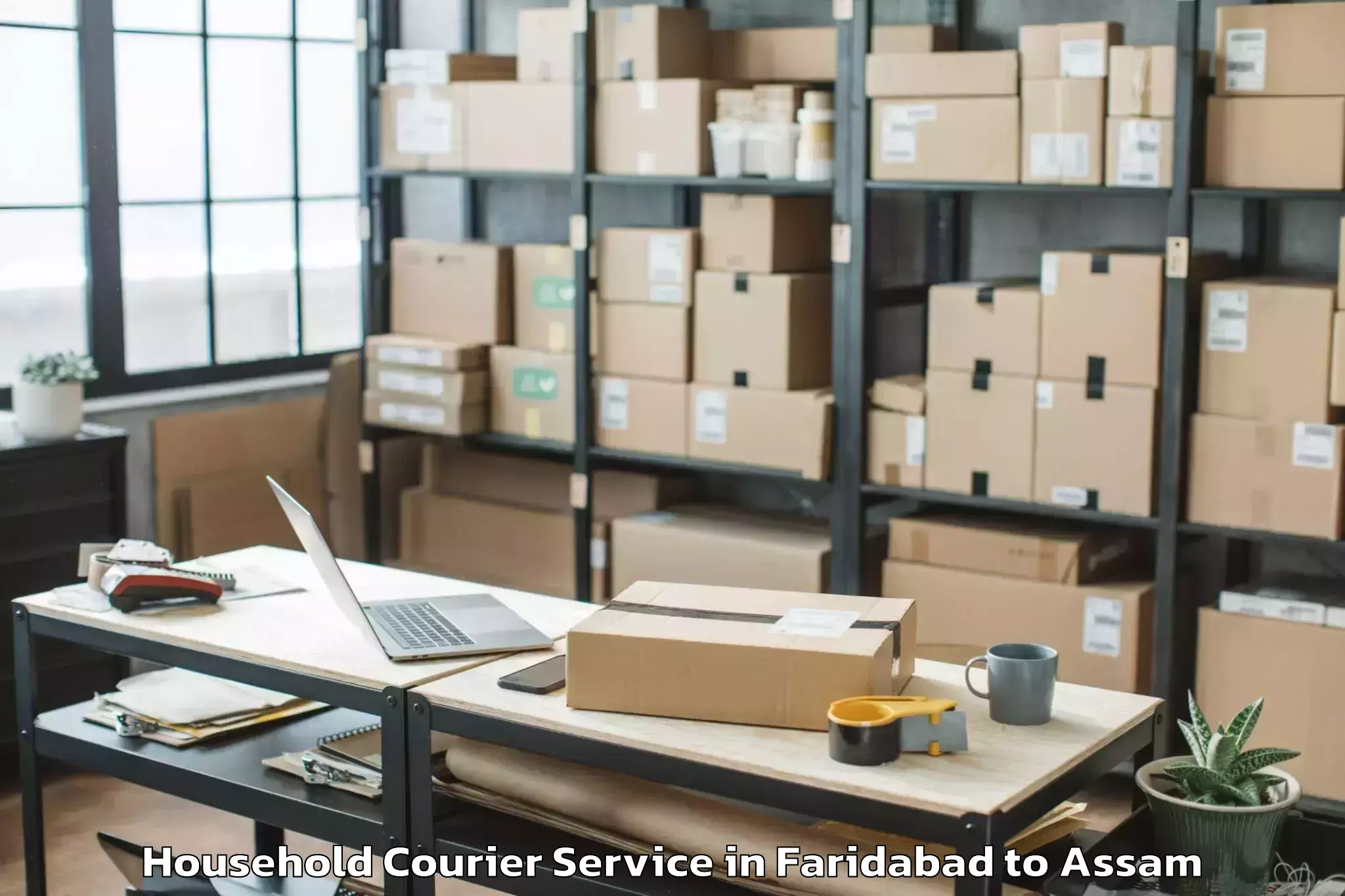 Easy Faridabad to Balapara Household Courier Booking